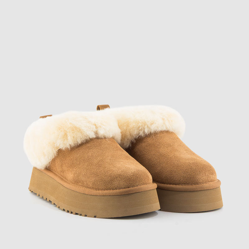 BOTIN TAZZELLE CHESNUT