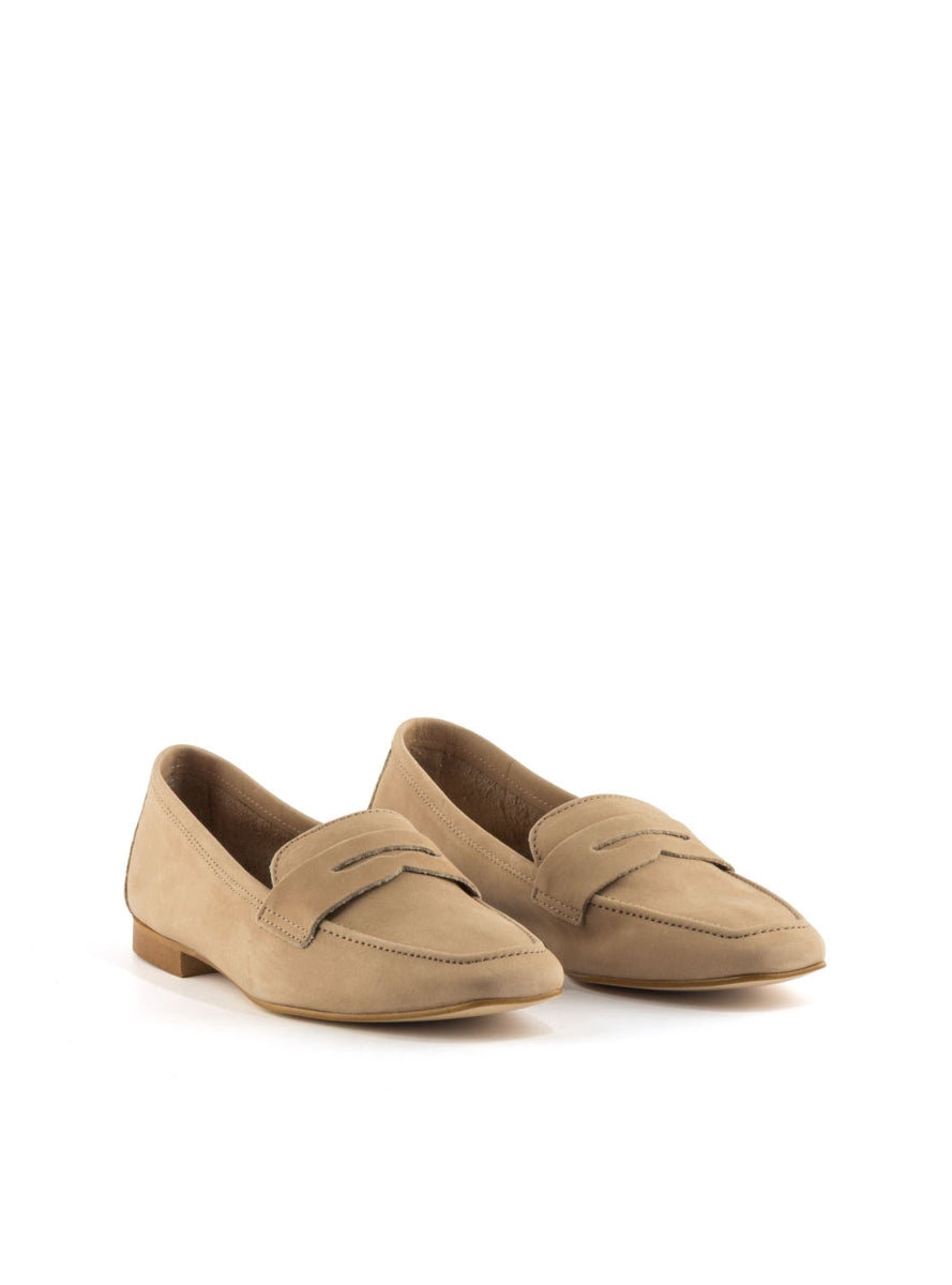 24 PRIMICHI 2008 TAUPE -1