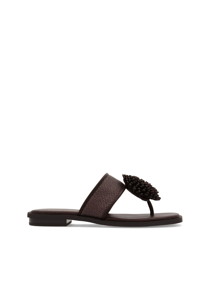 NOA 10254-55 MARRON -0