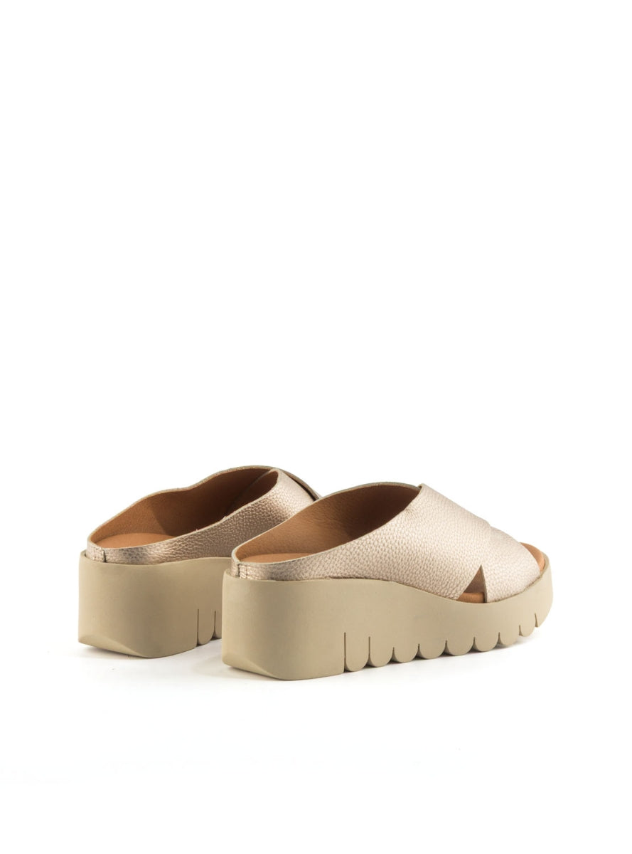 204261 BRAND ARA 500 CAVA-2