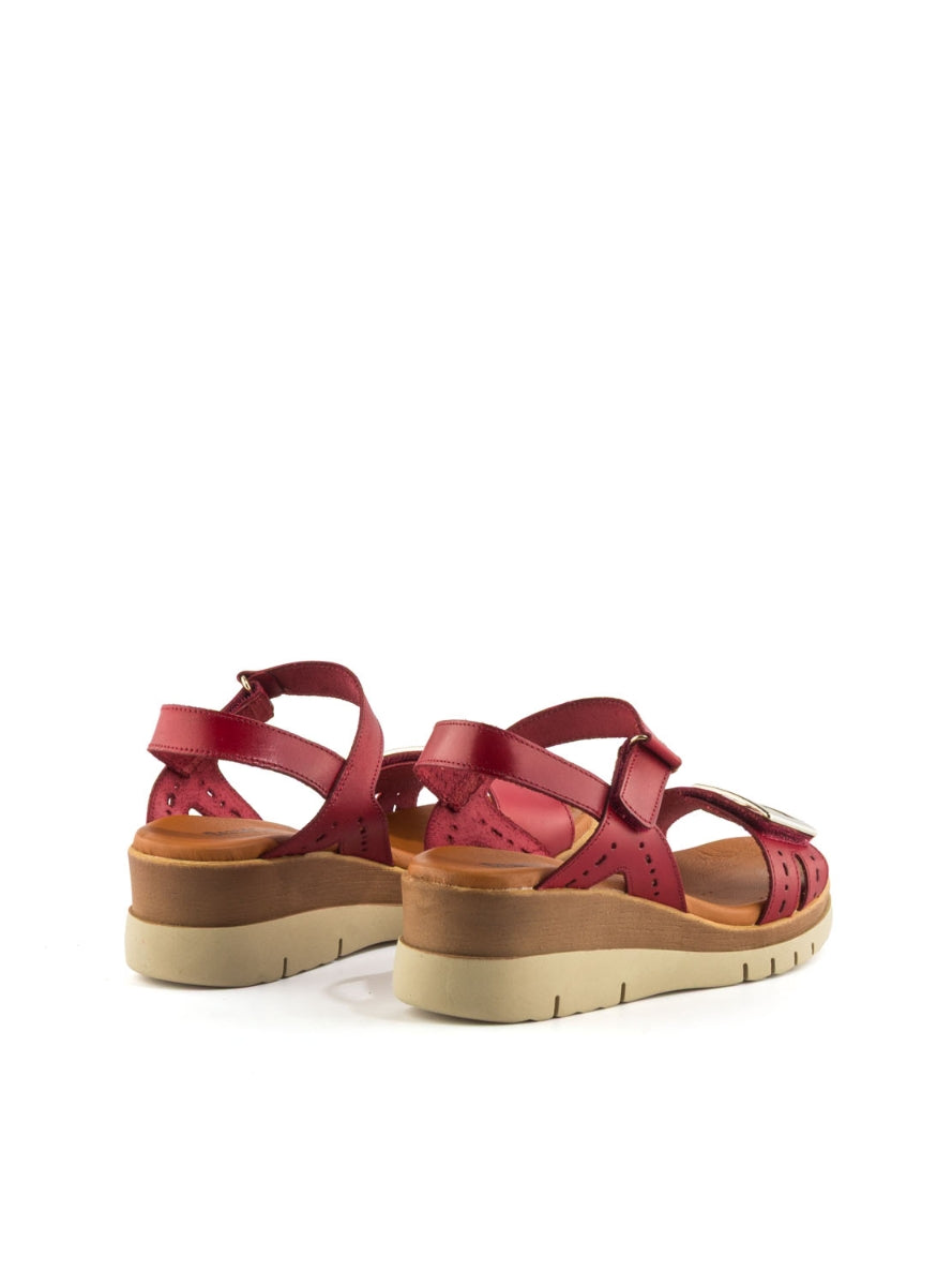 4236 BRAND 4630 ROJO -2