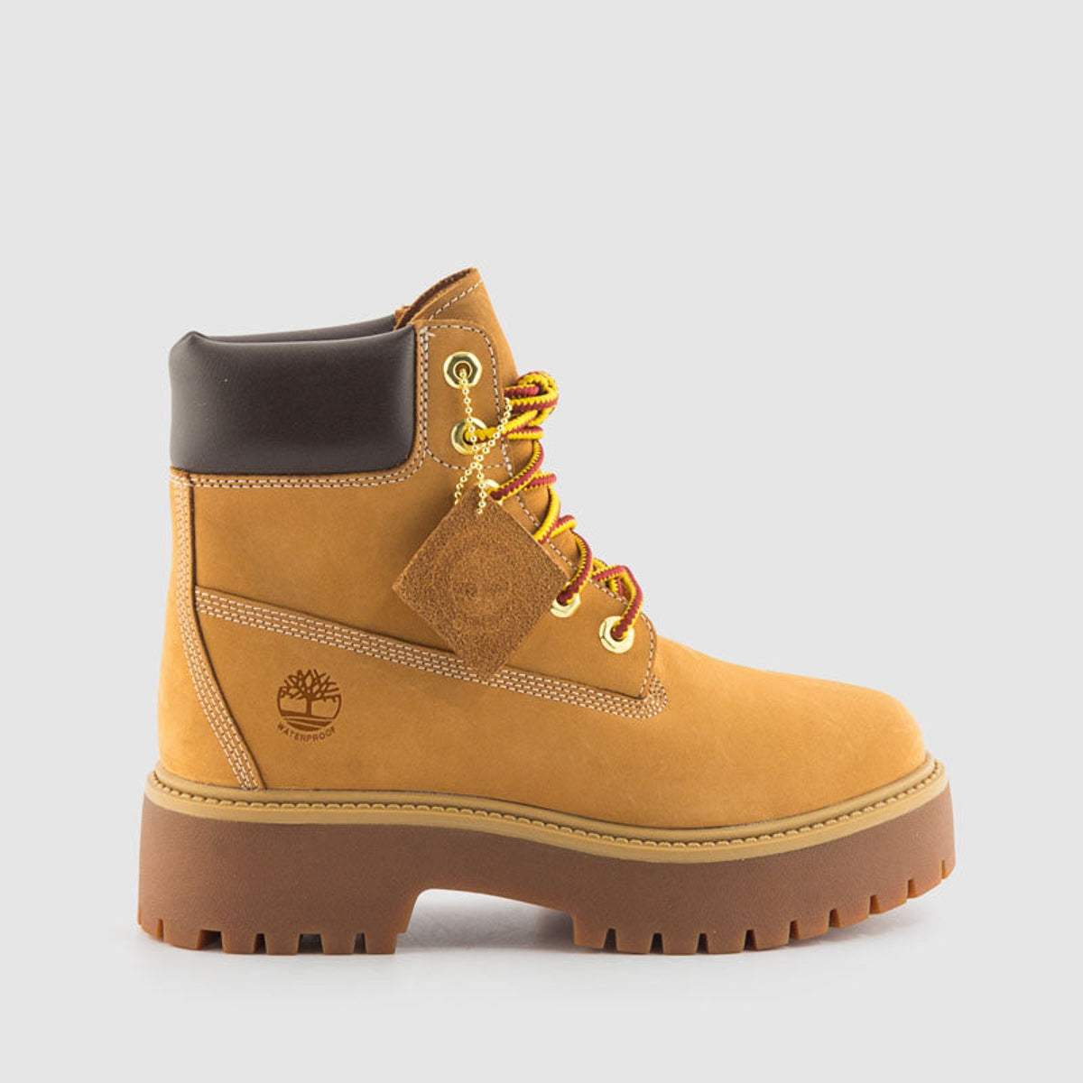 TIMBTB1A5RJD231 WHEAT-0