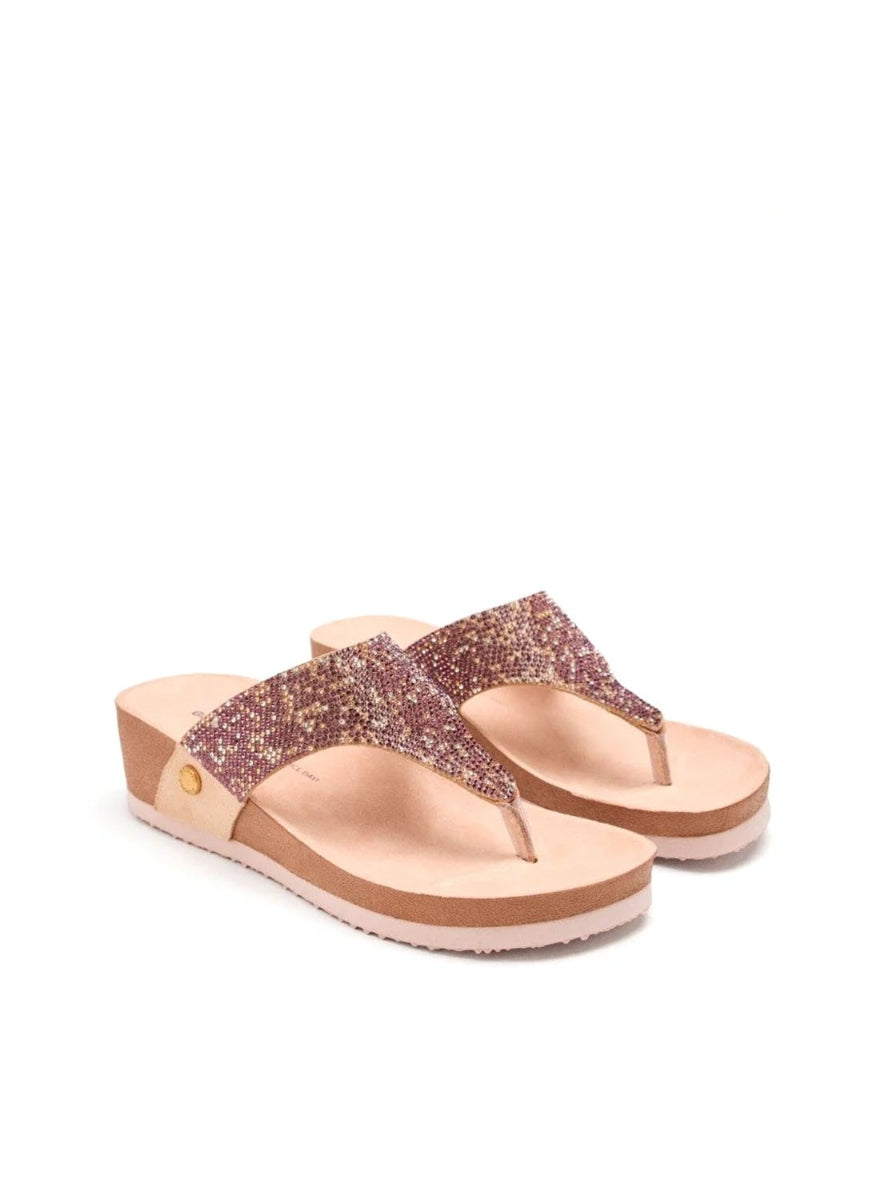 GIO 74513 STODDARD ROSA -1