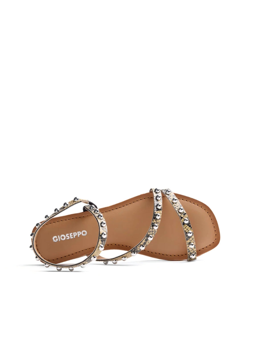 GIO 79123 SUBUKIA VAINILLA -2