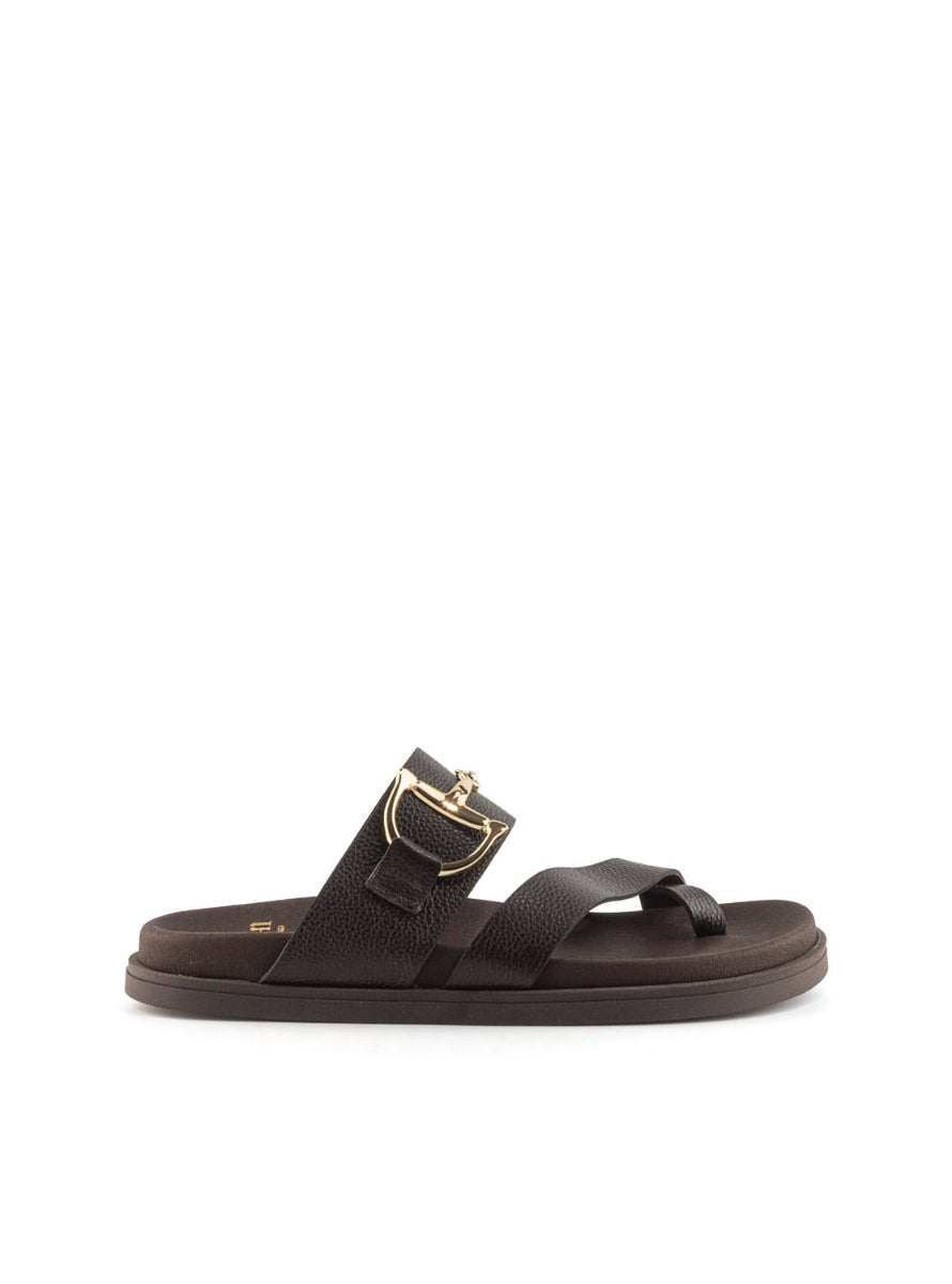 627PRIMI 62665 CHOCOLATE-0