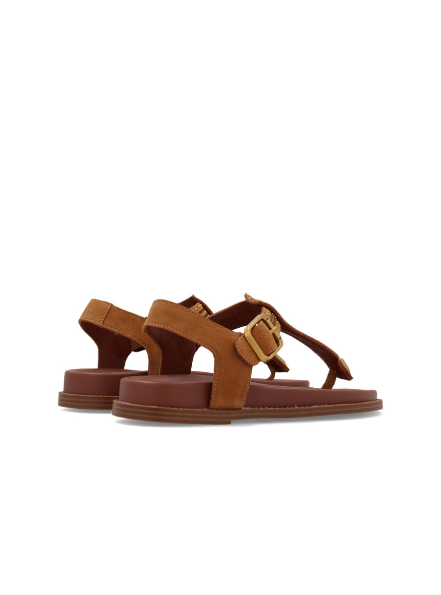 NOA 10276-M50 TAUPE -2
