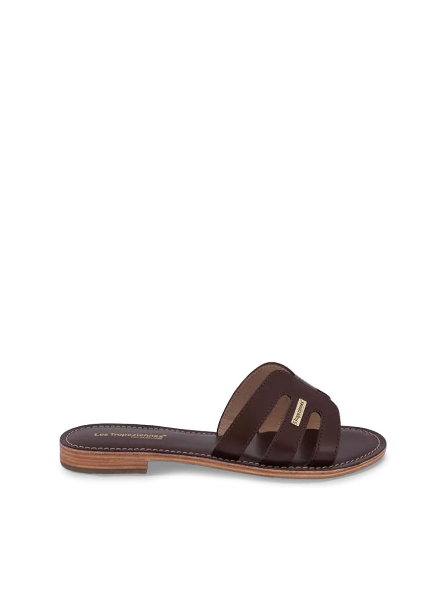 LTROP DAMIA C331211 CHOCO -0
