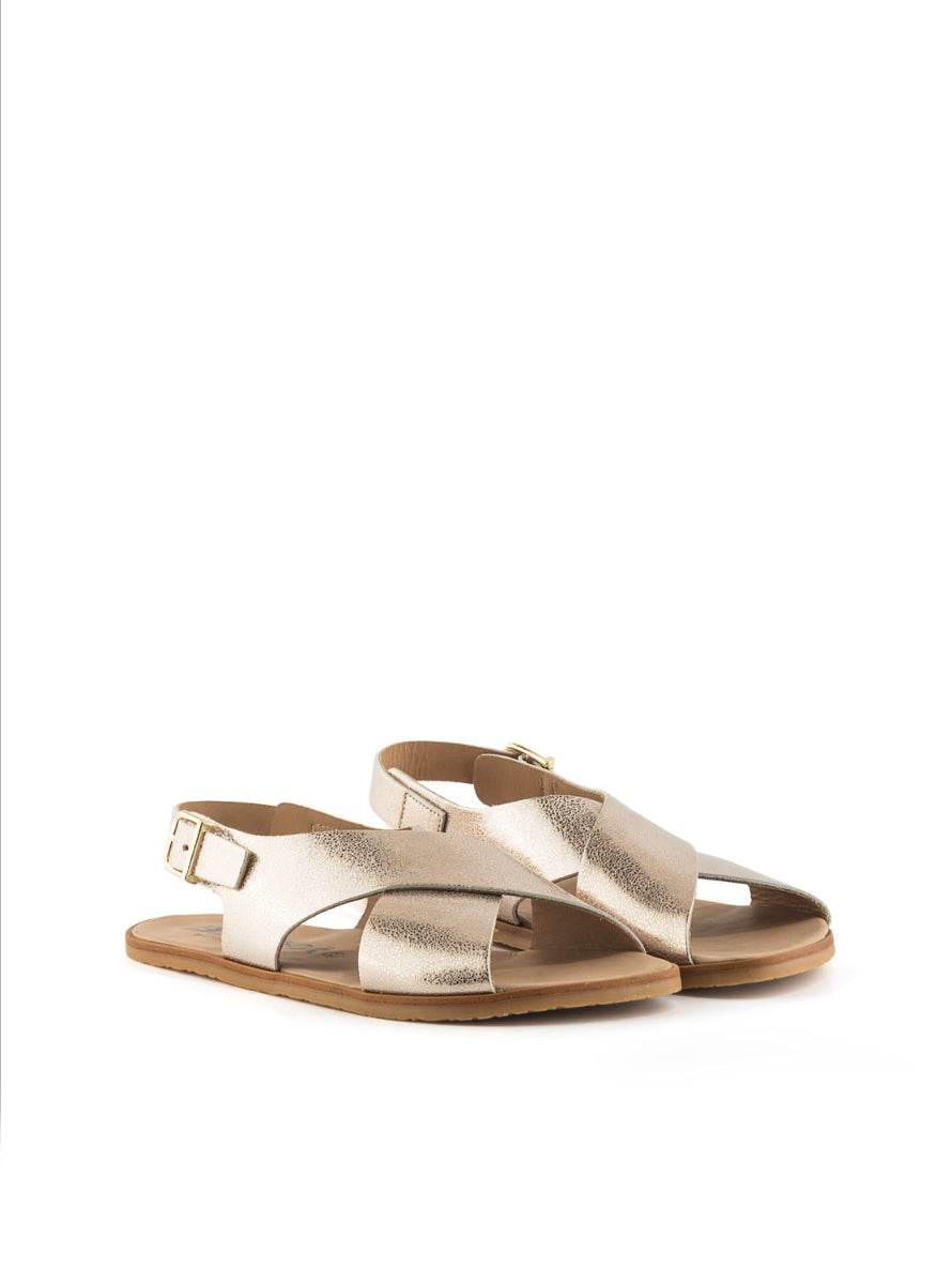 1190 BAREFOOT AURORA PLATINO -1