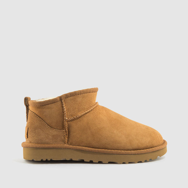 BOTIN CHESNUT
