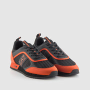 DEPORTIVO EVOLUTION BLACK TEA