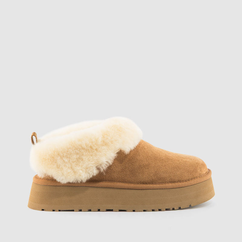 BOTIN TAZZELLE CHESNUT