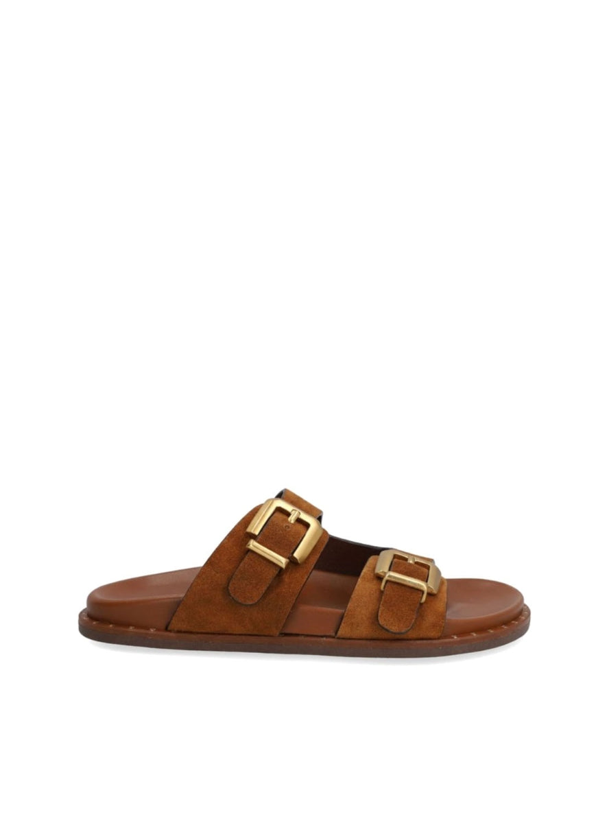 ALPE 5575 11 12  MARRON -0