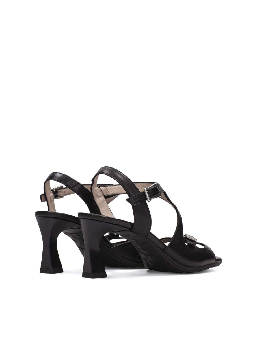 HISP HV264814 C002 NEGRO-2