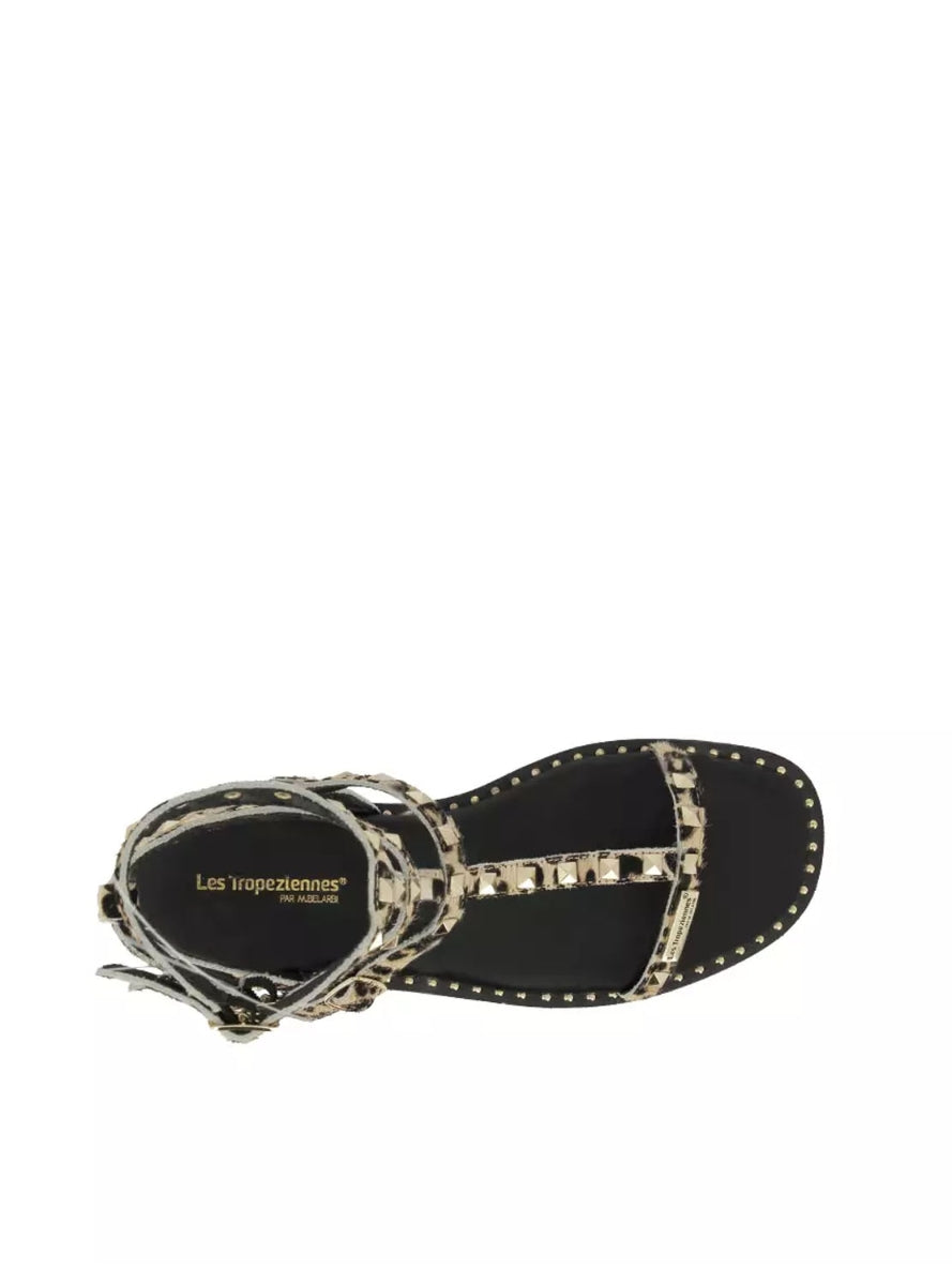 LTROP CORALIE C330843 LEOPARDO-2