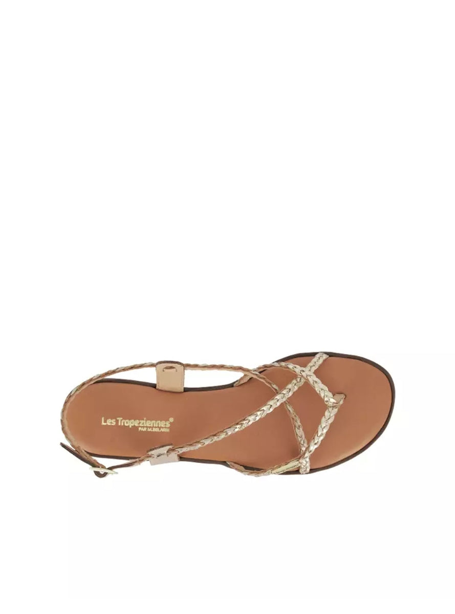 LTROP HALFONZO C330686 ORO -2