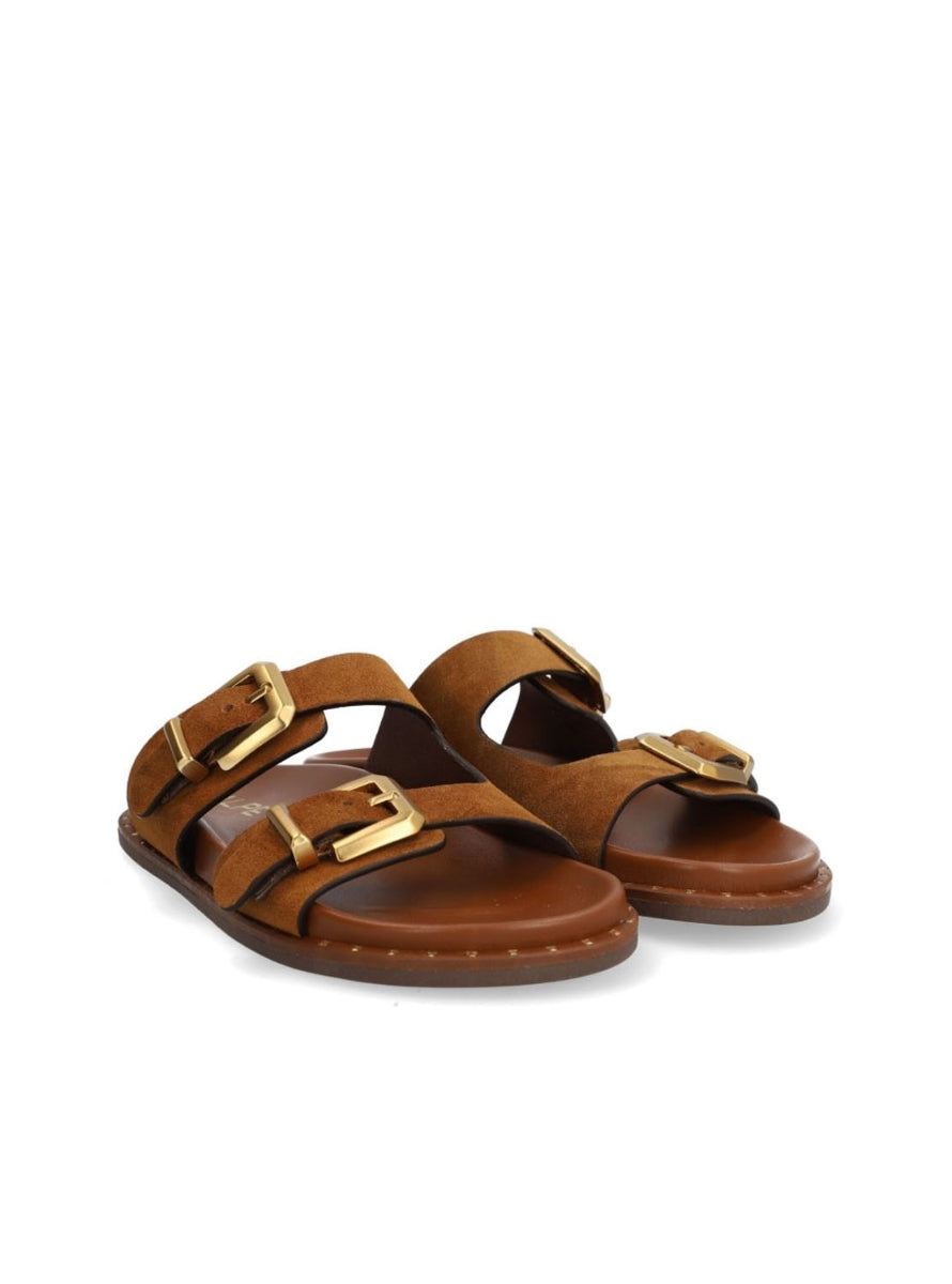 ALPE 5575 11 12  MARRON -1